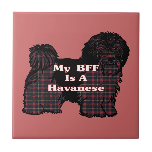 AZULEJO HAVANESE BFF (Frente)