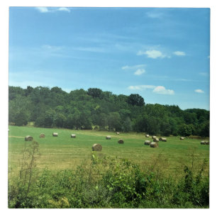Azulejo Hay Bales, Wytheville, Virginia
