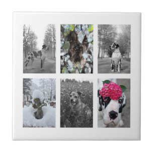 Azulejo Hazlo tú Gran Danés 