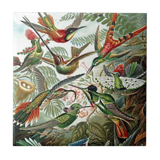 Azulejo Heackal Naturaleza Arte Diseño de Aves Hummingbird (Frente)
