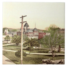 Azulejo Healdsburg, mosaico cerámico de California