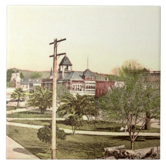 Azulejo Healdsburg, mosaico cerámico de California