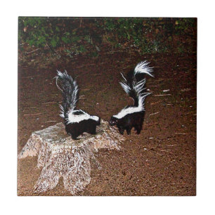 Azulejo Hedores del amor