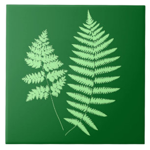 Azulejo Helecho de Bosque, Esmeralda y Verde Claro