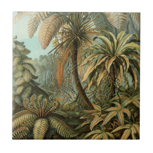 Azulejo Helechos Palma Árbol Antiguo Arte Botánico Helecho