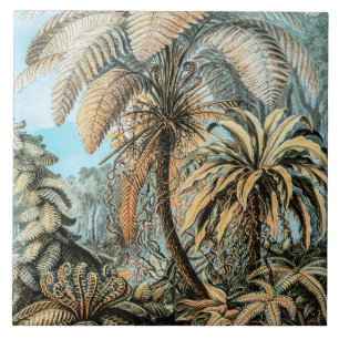 Azulejo Helechos Plantas Antiguas por Ernst Haeckel