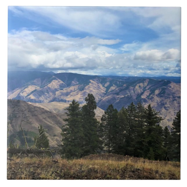 Azulejo Hells Canyon Scenic Byway, OR (Frente)
