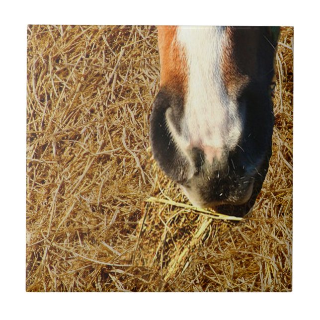 Azulejo Heno comiendo (Frente)