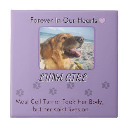 Azulejo Her Memory in Gentle Purple