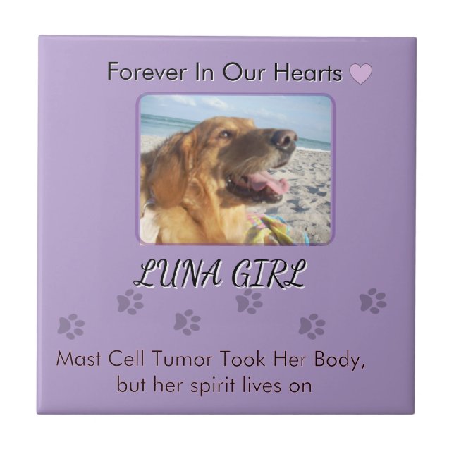 Azulejo Her Memory in Gentle Purple (Frente)