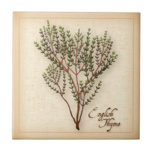Azulejo Herb Thyme en inglés
