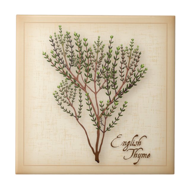 Azulejo Herb Thyme en inglés (Frente)