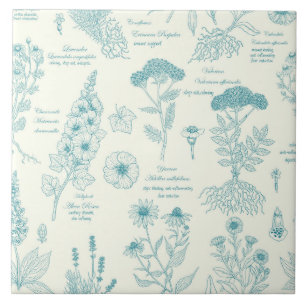 Azulejo Herbario de jardín medicinal en azul y blanco apag