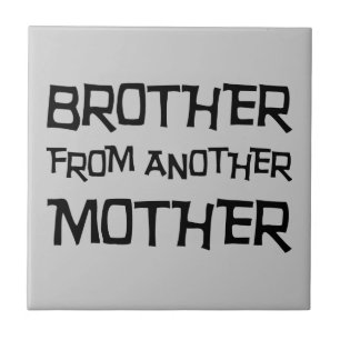 Azulejo Hermano de otra madre