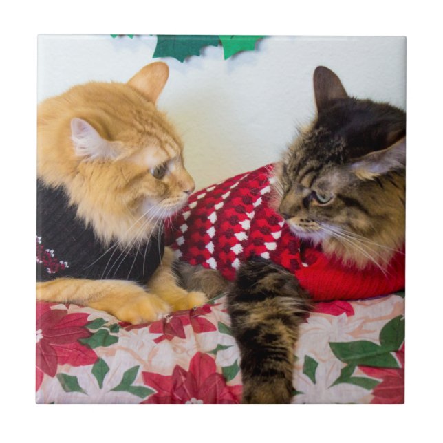 Azulejo Hermanos (Frente)