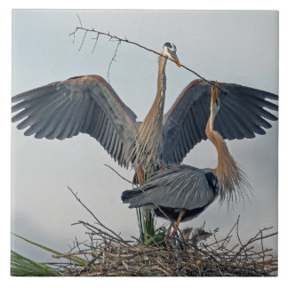 Azulejo Hermosa familia Great Blue Heron (foto)