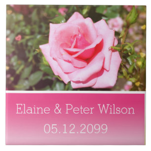 Azulejo Hermosa flor de rosa rosa aniversario de bodas