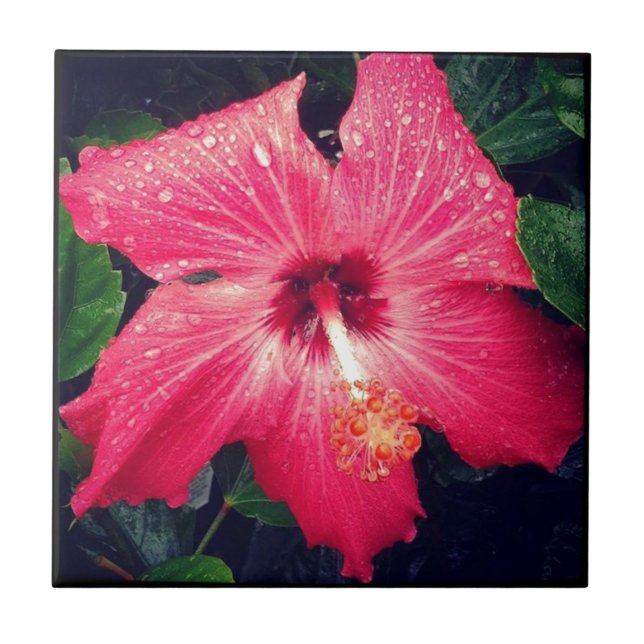 Azulejo Hermosa Flor Tropical (Frente)