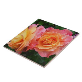 Azulejo Hermosa foto de rosa rosa y naranja