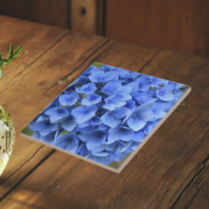 Azulejo Hermosa Hydrangea Azul Floral en Flor