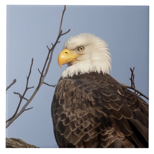 Azulejo Hermosa Mamá (Águila) Tile cerámico (Frente)