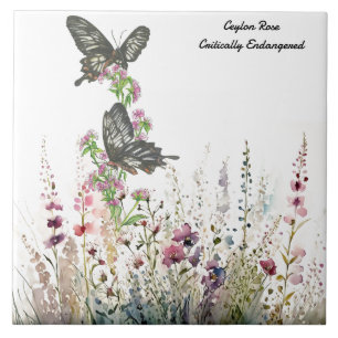 Azulejo Hermosa mariposa de Ceylon pintada a mano