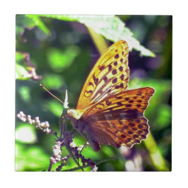 Azulejo Hermosa mariposa naranja y negra manchada