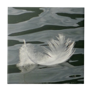 Azulejo Hermosa pluma blanca