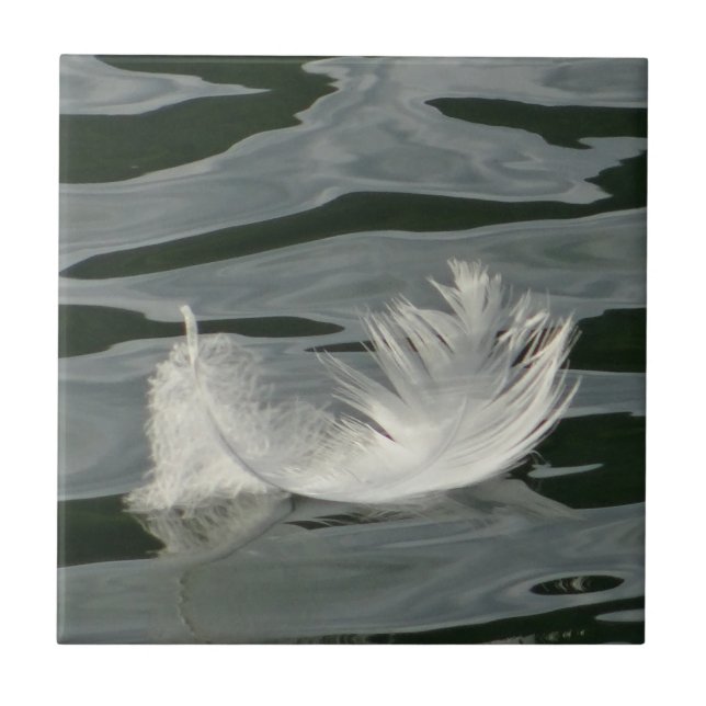 Azulejo Hermosa pluma blanca (Frente)