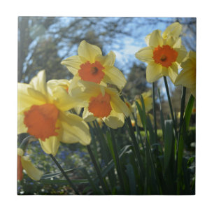 Azulejo Hermosa primavera amarilla, naranja daffodil flore