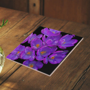 Azulejo Hermosa Primavera Morada Cruza La Flora