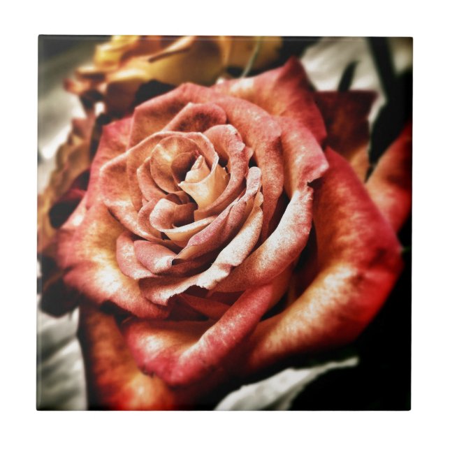 Azulejo Hermosa Rosa (Frente)