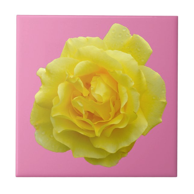 Azulejo Hermosa rosa amarilla (Frente)