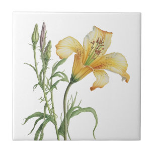 Azulejo Hermosa tela cerámica botánica Lily Vintage