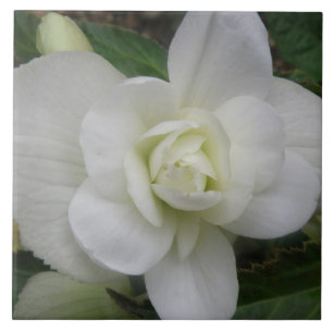 Azulejo Hermosa tela de carnación blanca