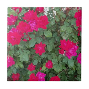Azulejo Hermosas flores