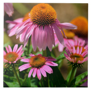 Azulejo Hermosas flores de cono morado