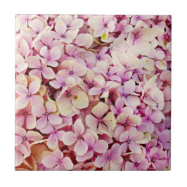 Azulejo Hermosas flores de Hydrangea