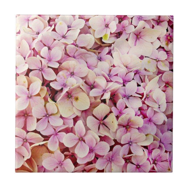 Azulejo Hermosas flores de Hydrangea (Frente)