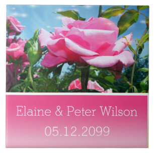 Azulejo Hermosas flores de rosa rosadas aniversario de bod