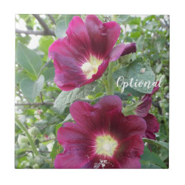 Azulejo Hermosas flores rojas profundas y hojas verdes