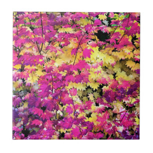 Azulejo Hermosas hojas de otoño
