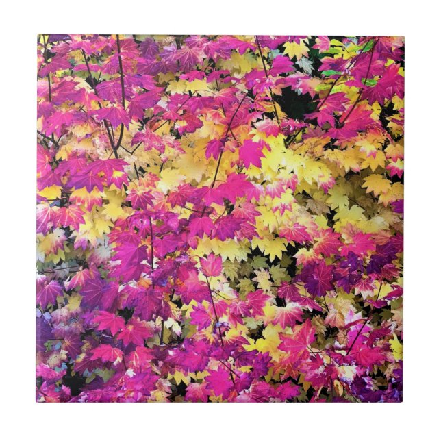 Azulejo Hermosas hojas de otoño (Frente)