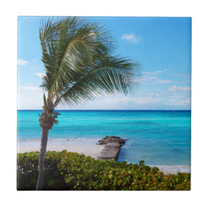 Azulejo Hermoso árbol de palma ventoso de playa tropical