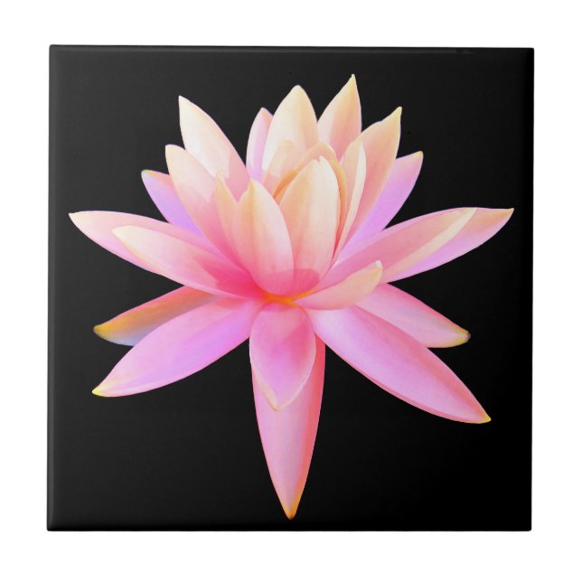Azulejo Hermoso Bella Artes Lily Lotus Rosa (Frente)