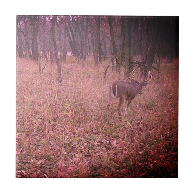 Azulejo Hermoso Buck mejorado (Frente)