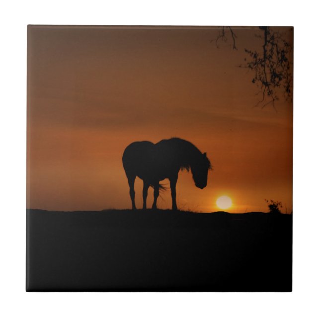 Azulejo Hermoso caballo y atardecer del suroeste (Frente)