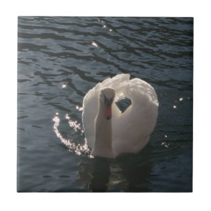Azulejo Hermoso cisne blanco
