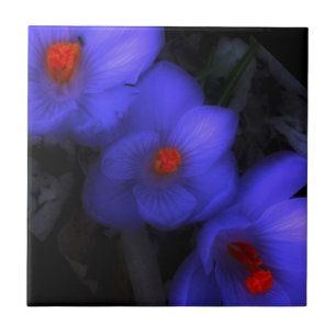 Azulejo Hermoso cromo azul morado florece