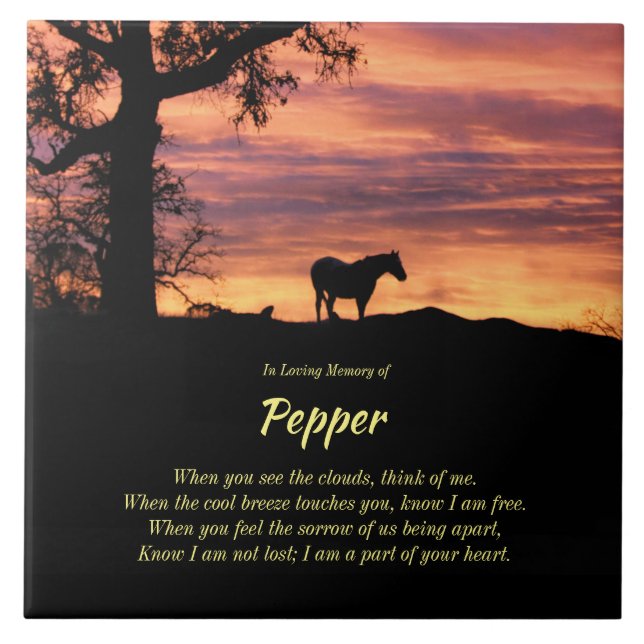 Azulejo Hermoso Monumento a Caballo con Poema Espiritual C (Frente)